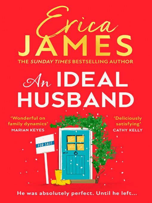 Title details for An Ideal Husband by Erica James - Wait list